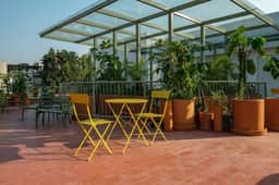 Deluxe 2Bdrm / 2 Bath in the Heart of Condesa - Image 4