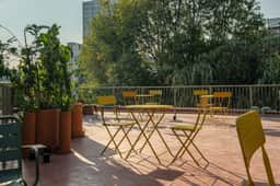 Deluxe 2Bdrm / 2 Bath in the Heart of Condesa - Image 3