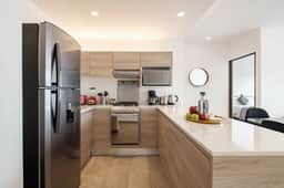 Deluxe 1-Bedroom in New Polanco - Image 3