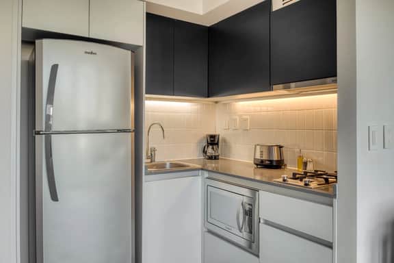 Providencia Superior 1-Bedroom in Modern Tower - Image 3